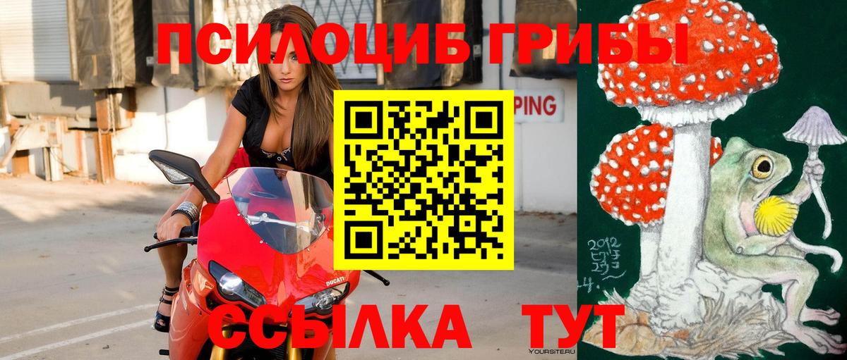 Галлюциногенные грибы GOLDEN TEACHER Тверь