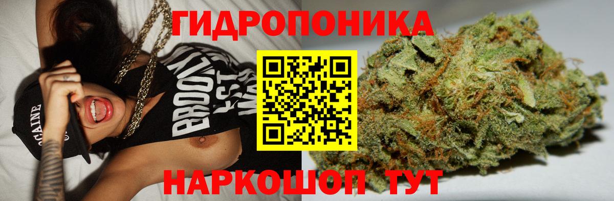 Бошки Шишки  Экстази  Вход с VPN  НБОМе  Мефедрон кристаллы  Тверь  ГАШ  ГАШ 